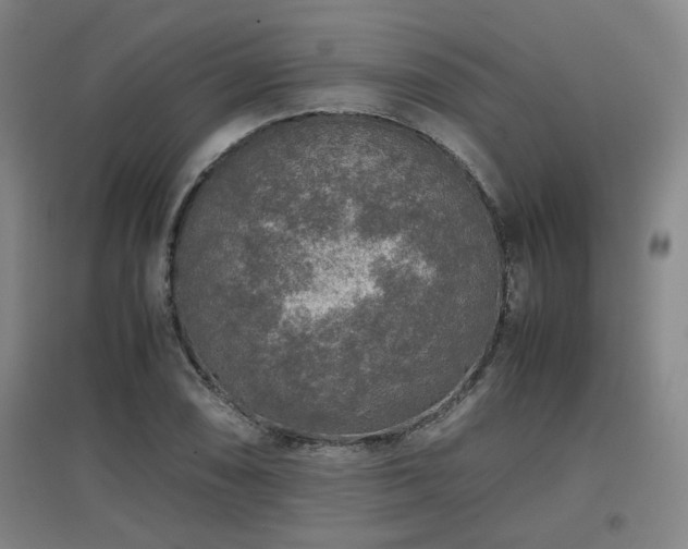 X0000097661074200802291421