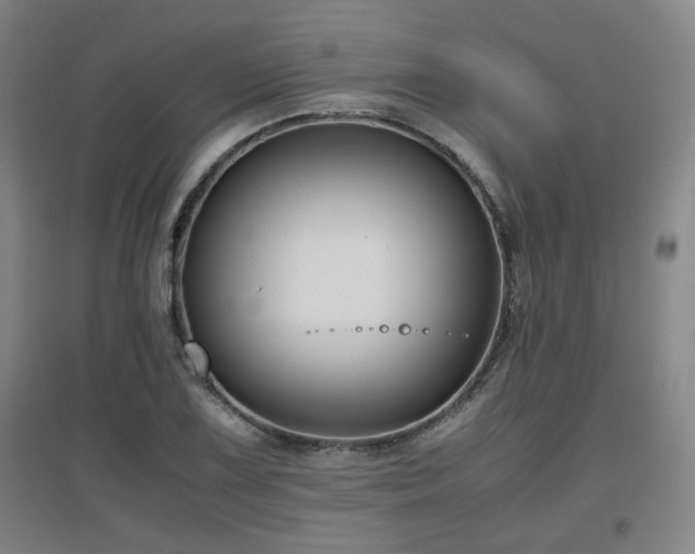 X0000097661075200802291421