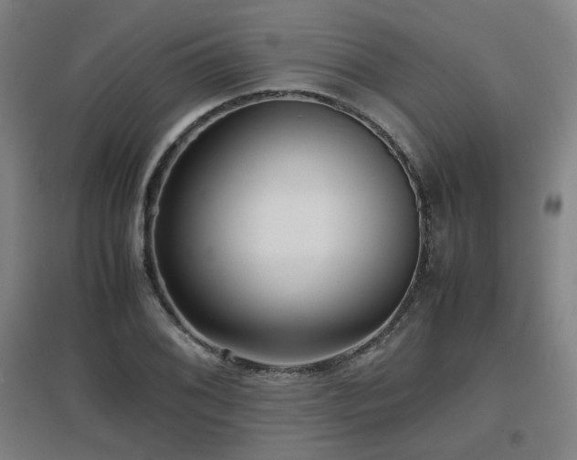X0000097661076200802291421