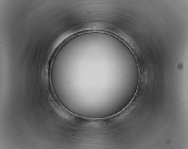 X0000097661078200802291421