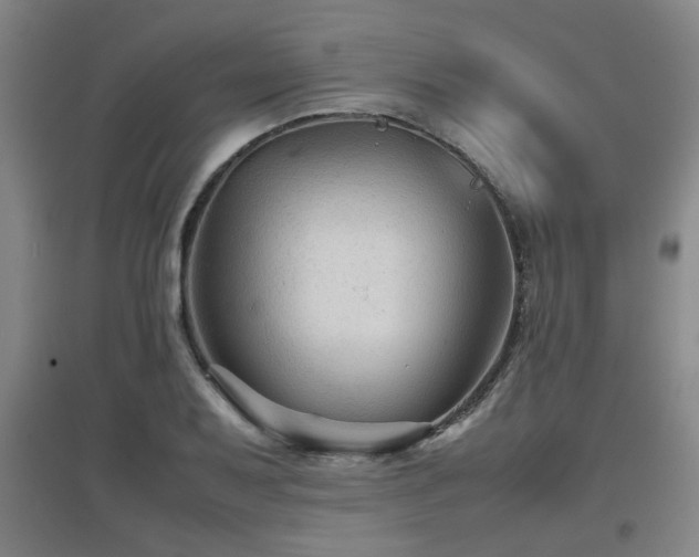 X0000097661079200802291421