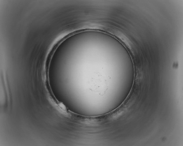 X0000097661080200802291421