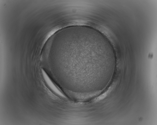 X0000097661081200802291421
