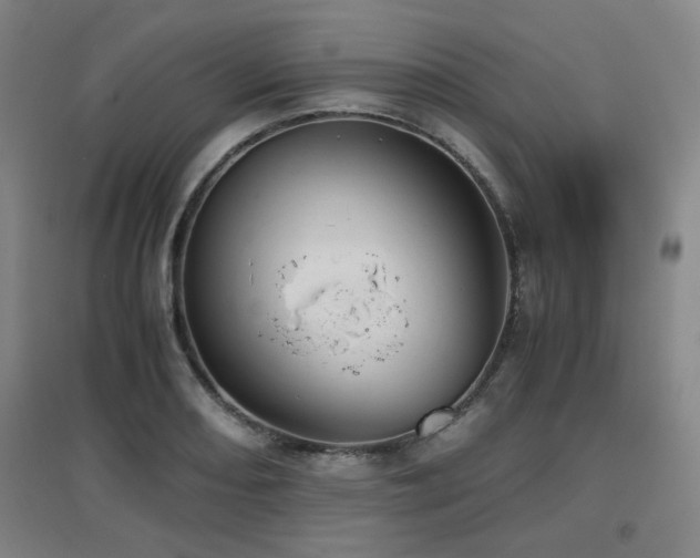 X0000097661082200802291421