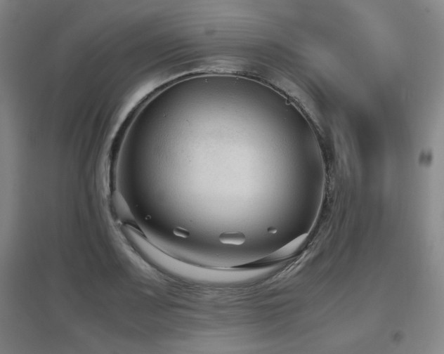 X0000097661083200802291421