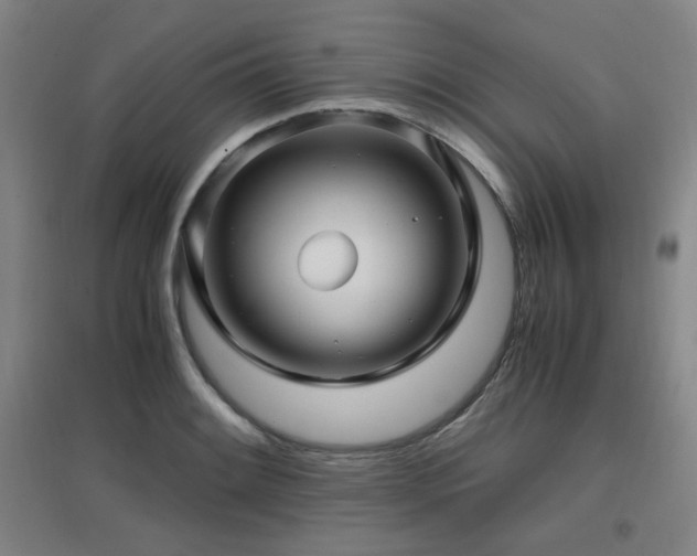 X0000097661084200802291421