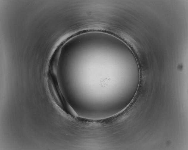 X0000097661085200802291421