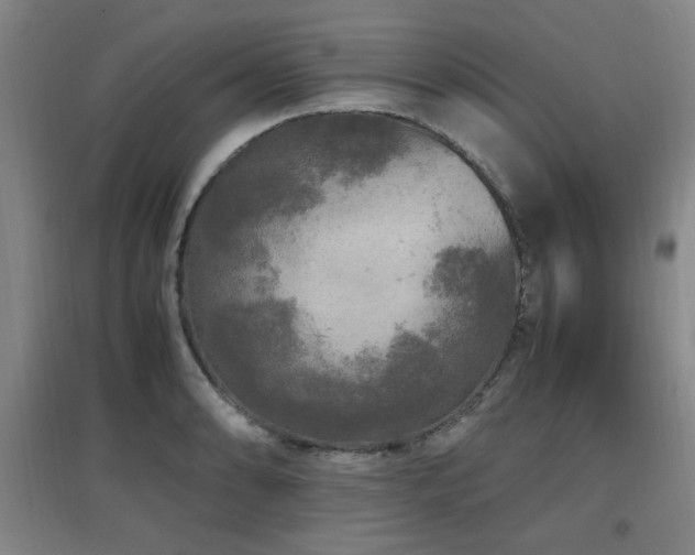 X0000097661086200802291420