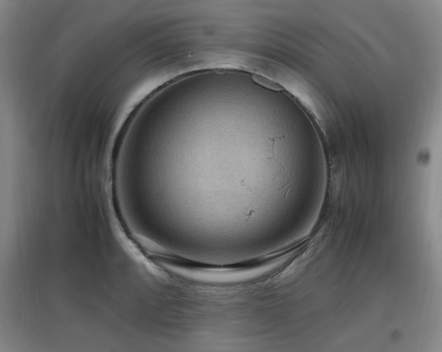X0000097661088200802291420