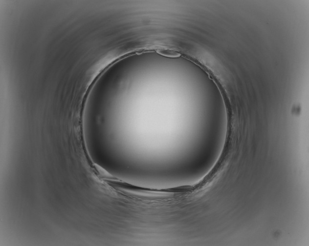 X0000097661089200802291420