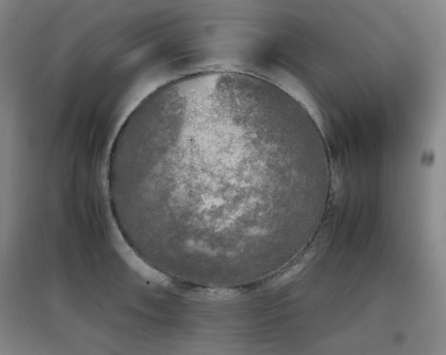 X0000097661090200802291420