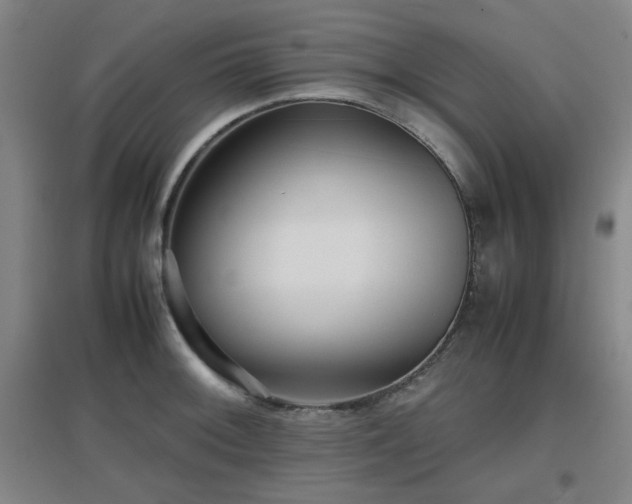 X0000097661092200802291420