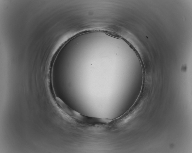 X0000097661093200802291420