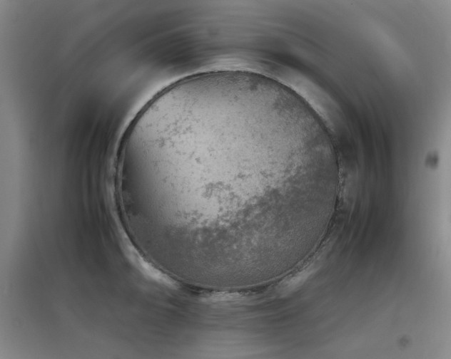 X0000097661094200802291420