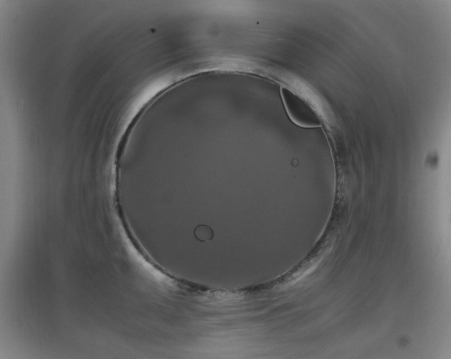 X0000097661095200802291420