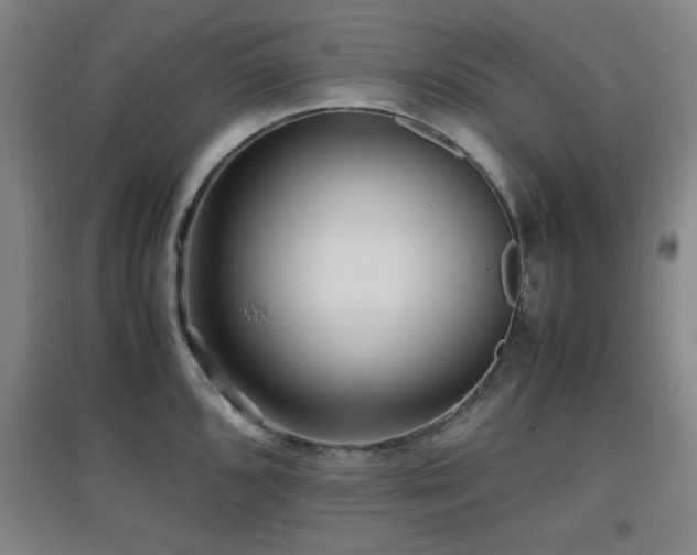 X0000097661096200802291420