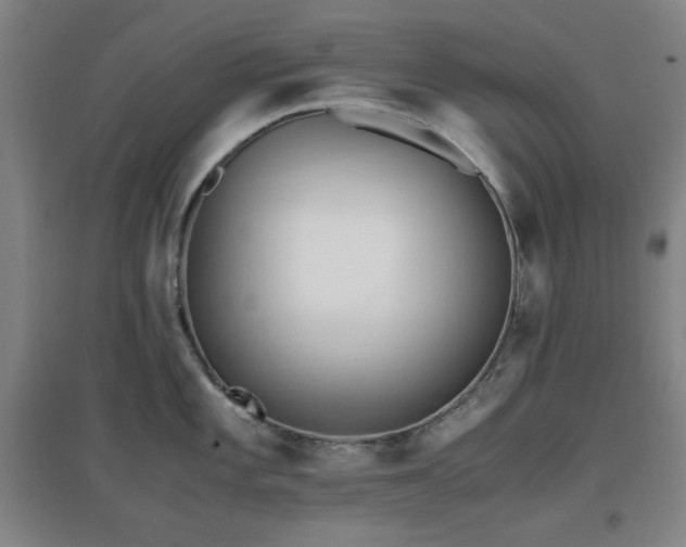 X0000097661101200802291420