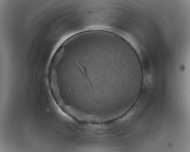 X0000097661102200802291420