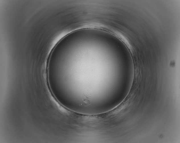 X0000097661103200802291420