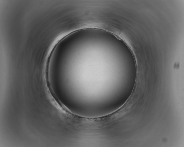 X0000097661104200802291420