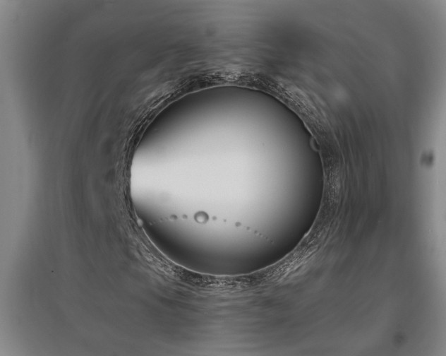 X0000097661105200802291419