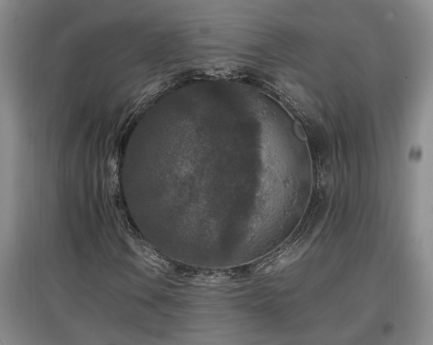 X0000097661106200802291419