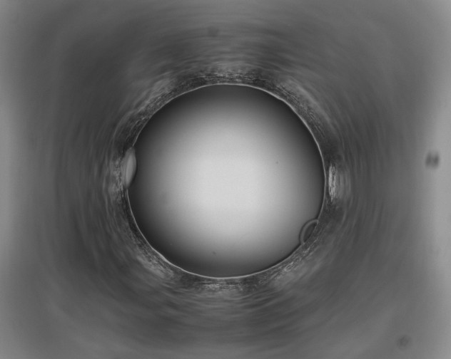 X0000097661107200802291419
