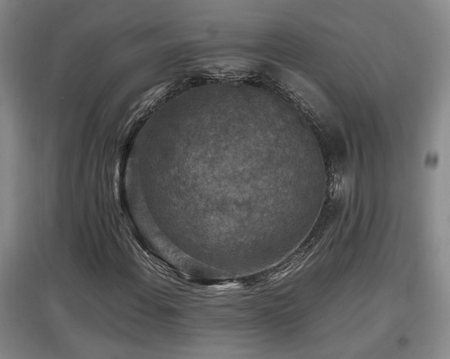 X0000097661108200802291419