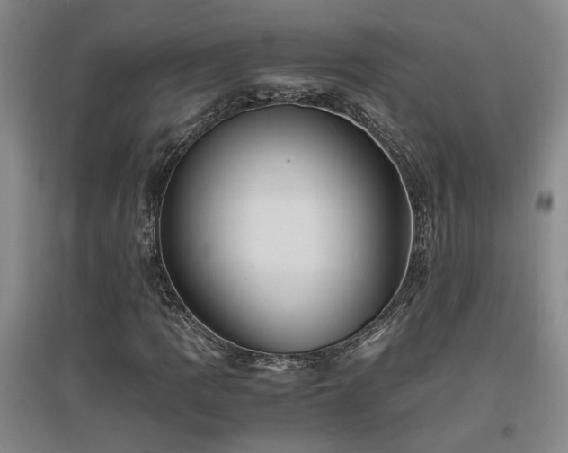X0000097661109200802291419