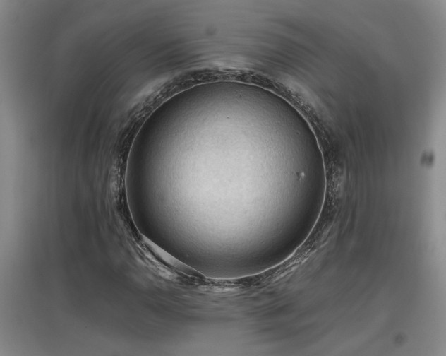 X0000097661110200802291419