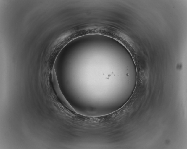 X0000097661111200802291419