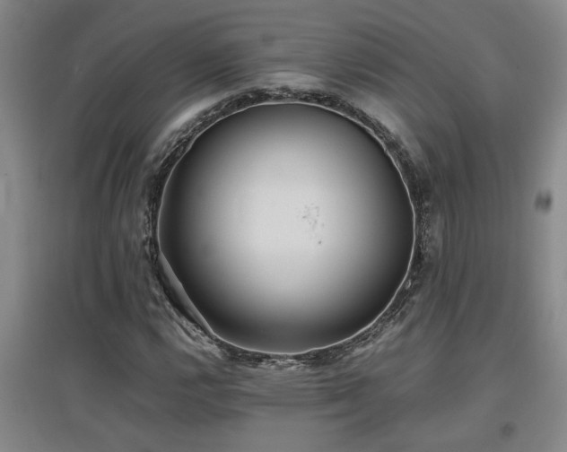 X0000097661112200802291419