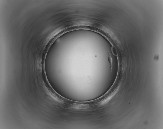 X0000097661113200802291419