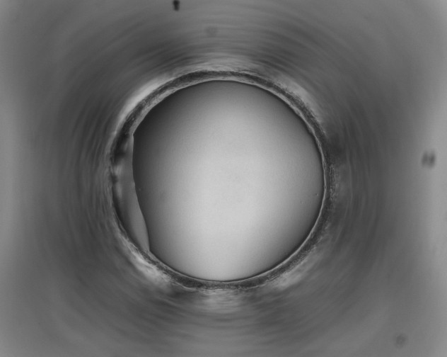 X0000097661114200802291419