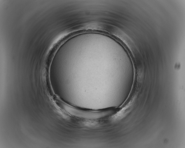 X0000097661115200802291419