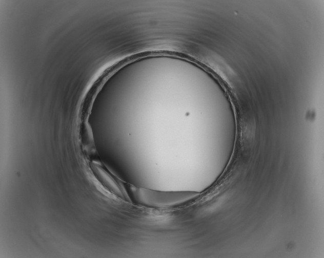 X0000097661116200802291419