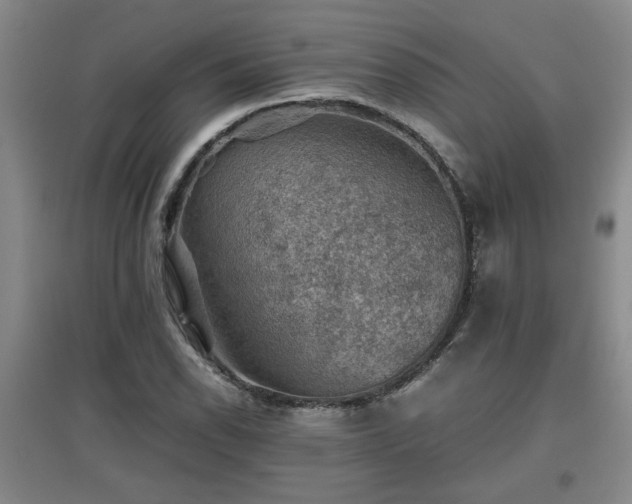 X0000097661118200802291420