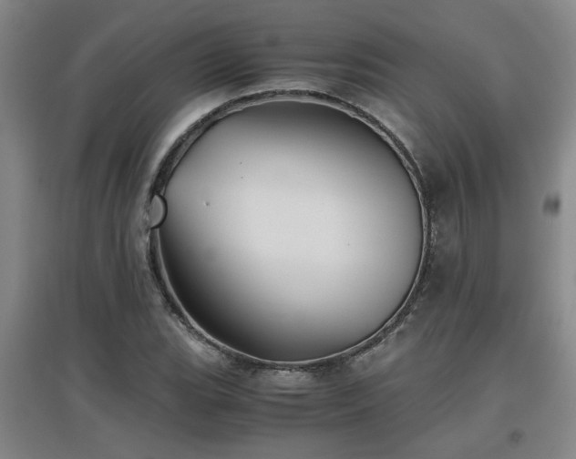 X0000097661119200802291420