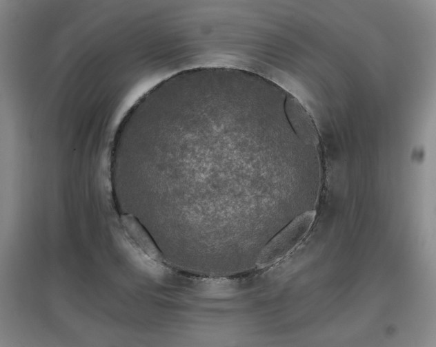X0000097661120200802291420