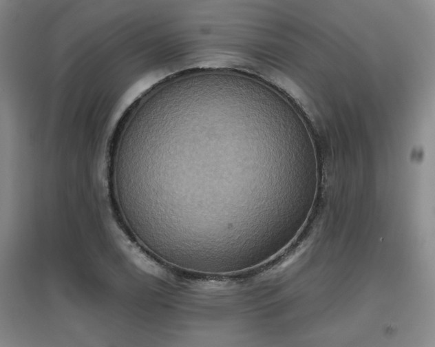 X0000097661122200802291420