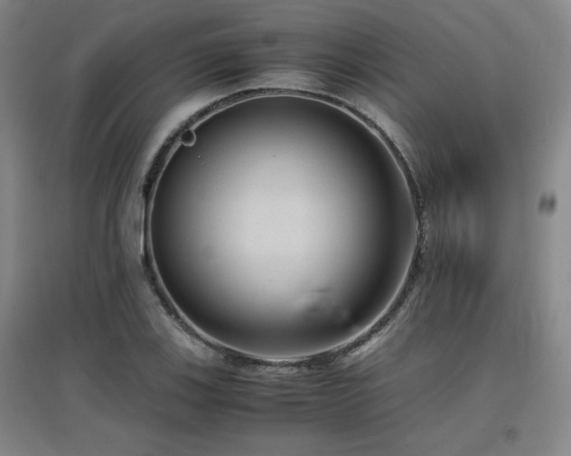 X0000097661123200802291420