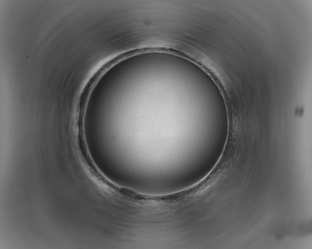 X0000097661124200802291420