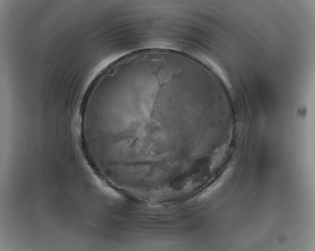X0000097661125200802291420