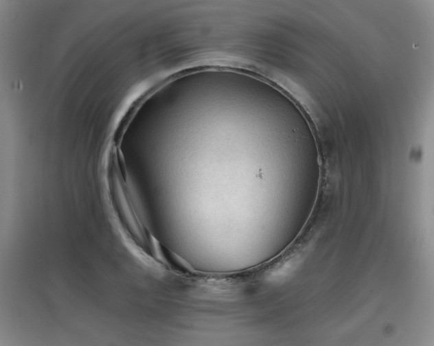 X0000097661128200802291420