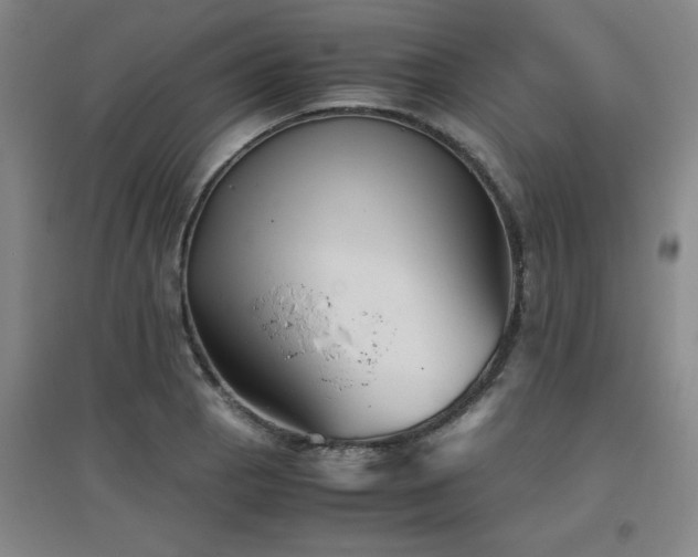 X0000097661129200802291420