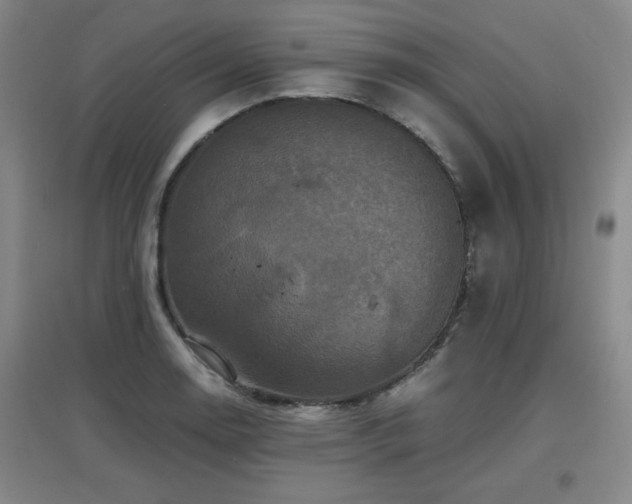 X0000097661130200802291420
