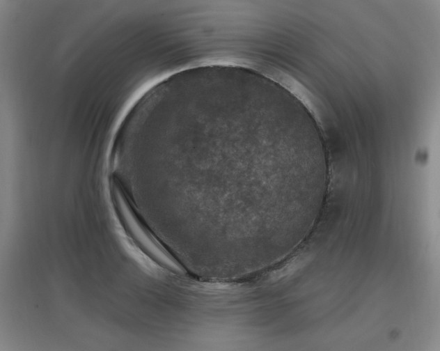 X0000097661132200802291420