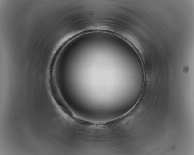 X0000097661133200802291420