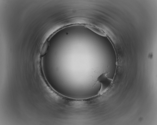 X0000097661134200802291420
