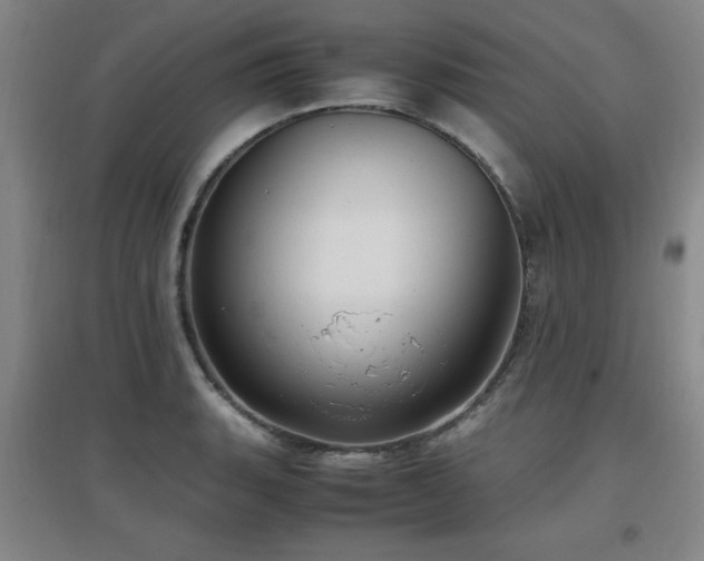 X0000097661135200802291420